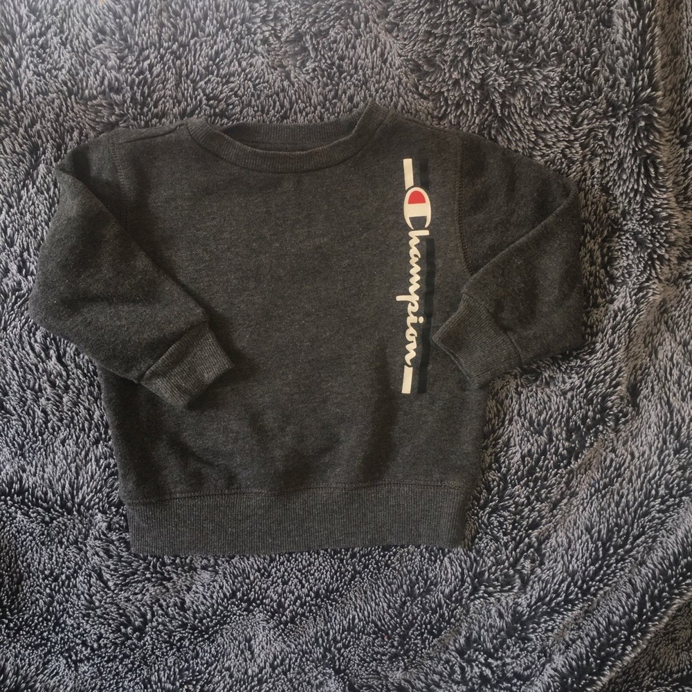 toddler champion sweatshirt